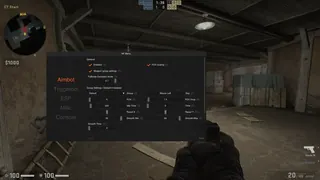Screenshot 2 für den Cheat NF LIGHT CS2 DMA im Spiel CS2