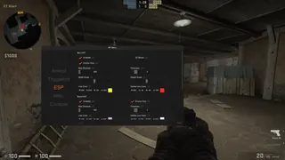 Screenshot 4 für den Cheat NF LIGHT CS2 DMA im Spiel CS2