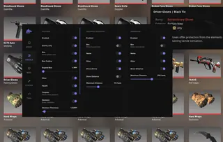 Screenshot 2 für den Cheat FECURITY im Spiel CS2