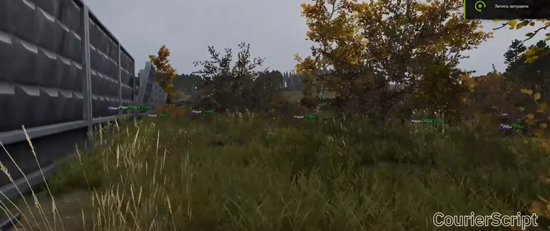 Screenshot 2 für den Cheat COURIERSCRIPT im Spiel Dayz