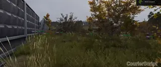 Screenshot 2 für den Cheat COURIERSCRIPT im Spiel Dayz