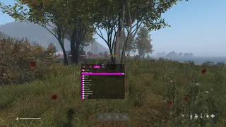 Ekran görüntüsü 1 hile için COVCHEG oyunda Dayz