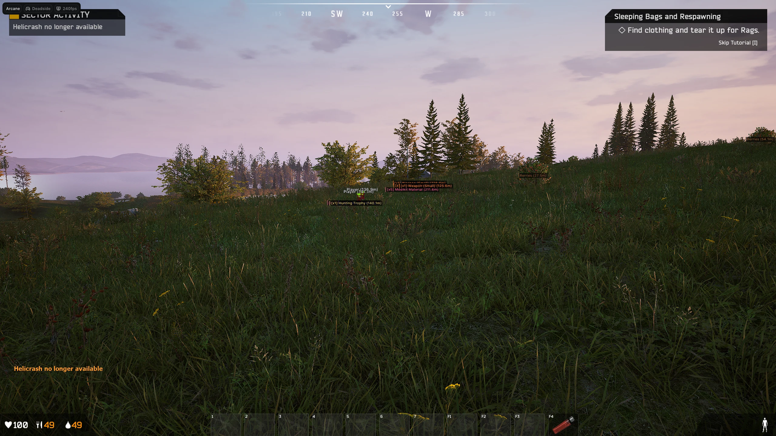 Screenshot des Cheats ARCANE im Spiel DeadSide