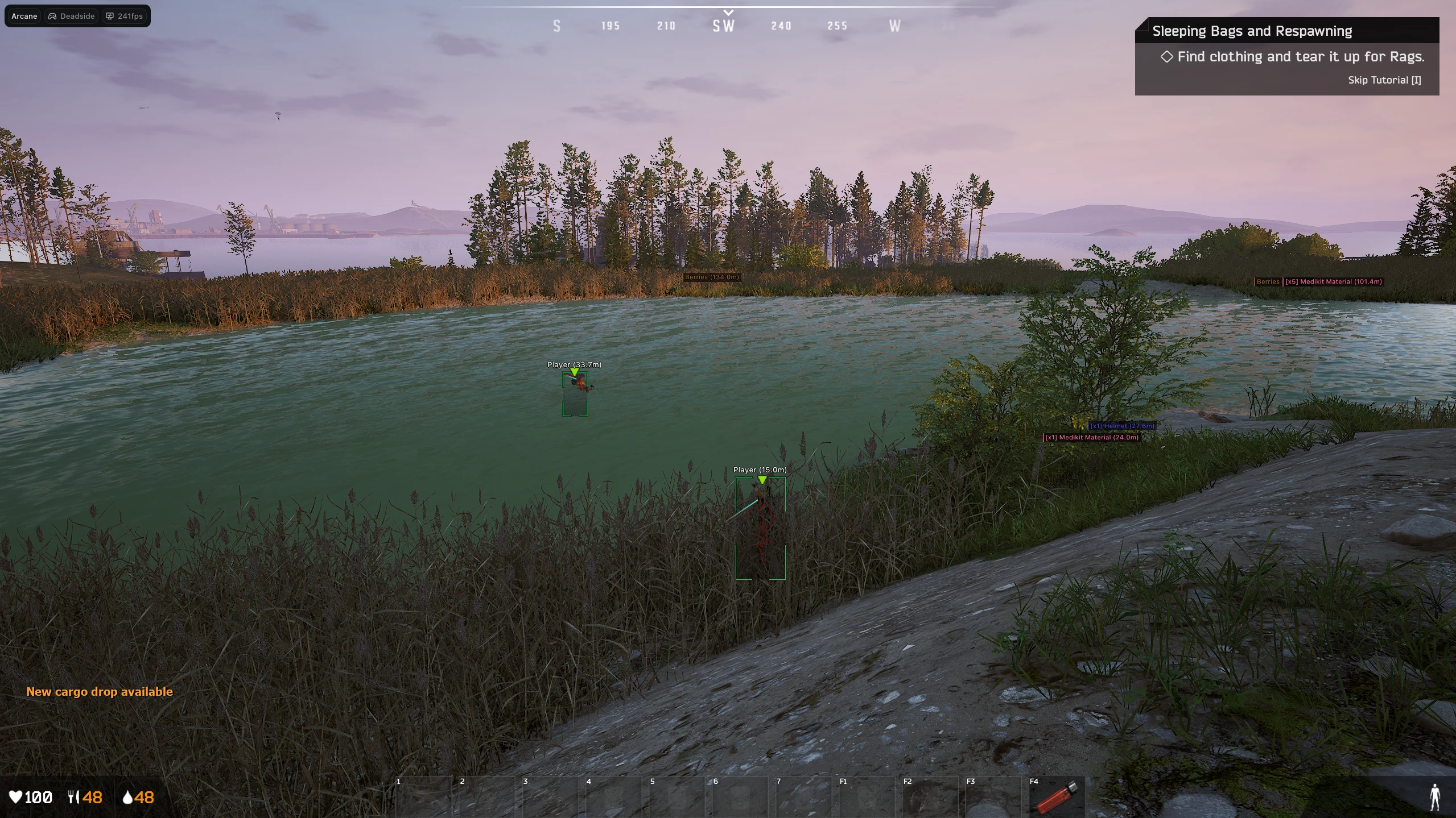 Screenshot 2 für den Cheat ARCANE im Spiel DeadSide