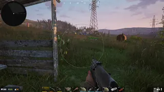 Screenshot 7 for cheat BYSTER in-game DeadSide