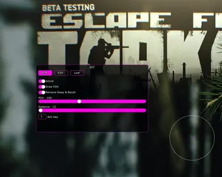 Screenshot 3 für den Cheat COVCHEG im Spiel Escape From Tarkov
