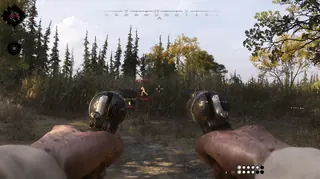 截图 2 的作弊器 BYSTER 游戏中 Hunt: Showdown