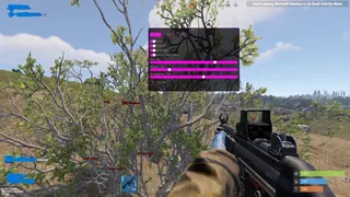 截图 1 的作弊器 COVCHEG 游戏中 Rust