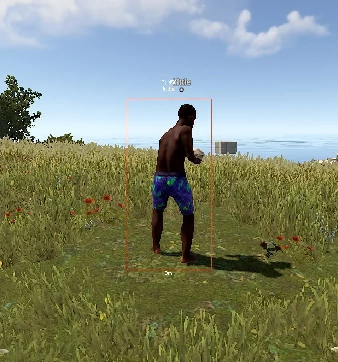 Screenshot des Cheats ELYSIAN DMA im Spiel Rust