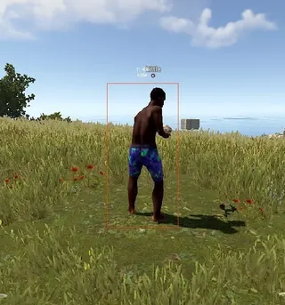 Screenshot 1 für den Cheat ELYSIAN DMA im Spiel Rust
