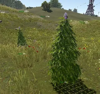 Screenshot 7 für den Cheat ELYSIAN DMA im Spiel Rust