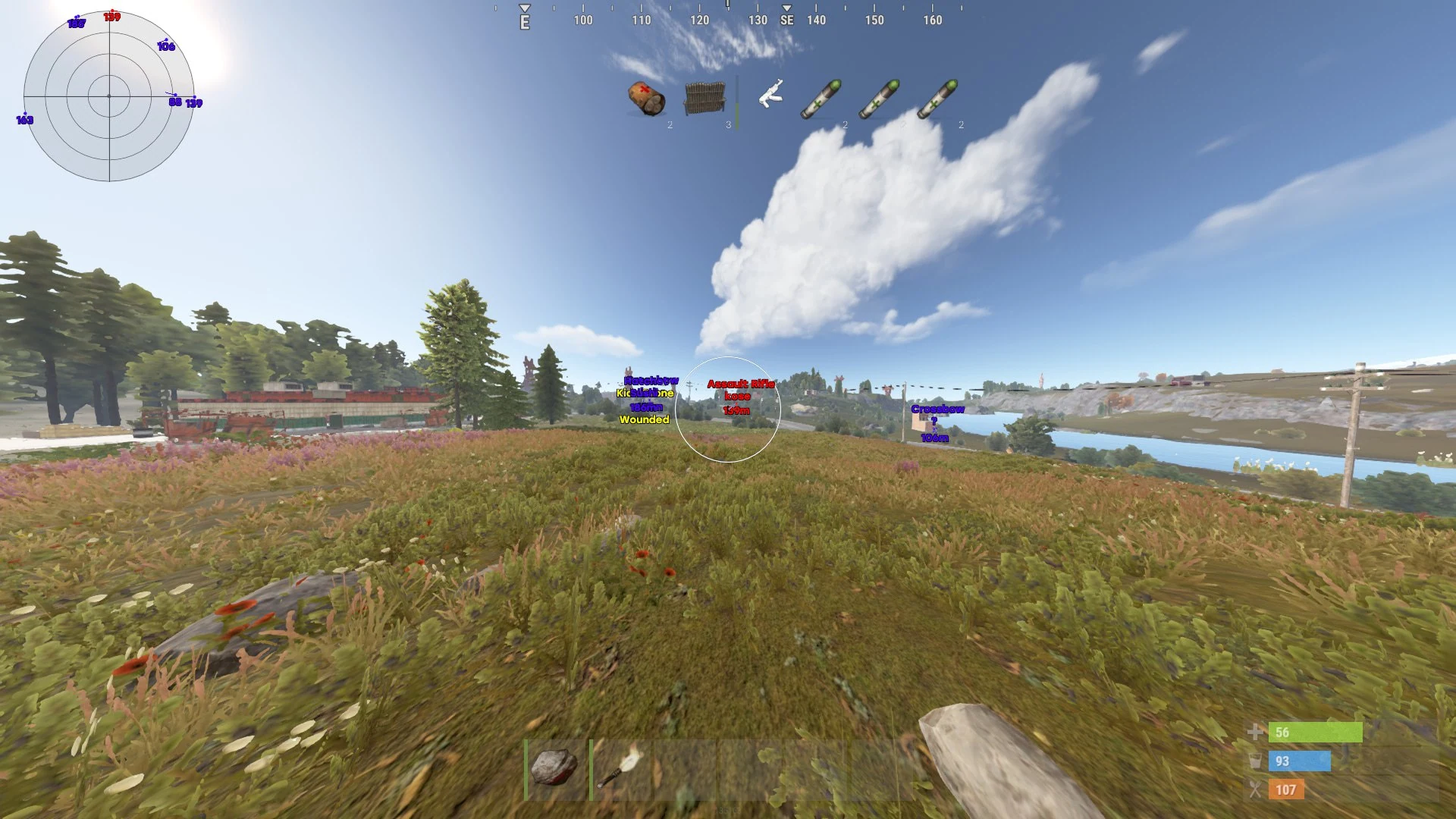 Скриншот 7 для чита MASON INTERNAL в игре Rust
