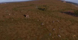 截图 9 的作弊器 MASON 游戏中 Rust