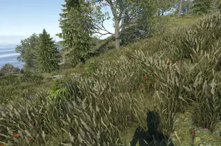 Screenshot 2 für den Cheat NIGHTFALL DMA im Spiel Rust