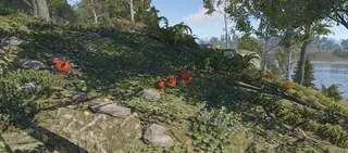 Screenshot 4 für den Cheat NIGHTFALL DMA im Spiel Rust