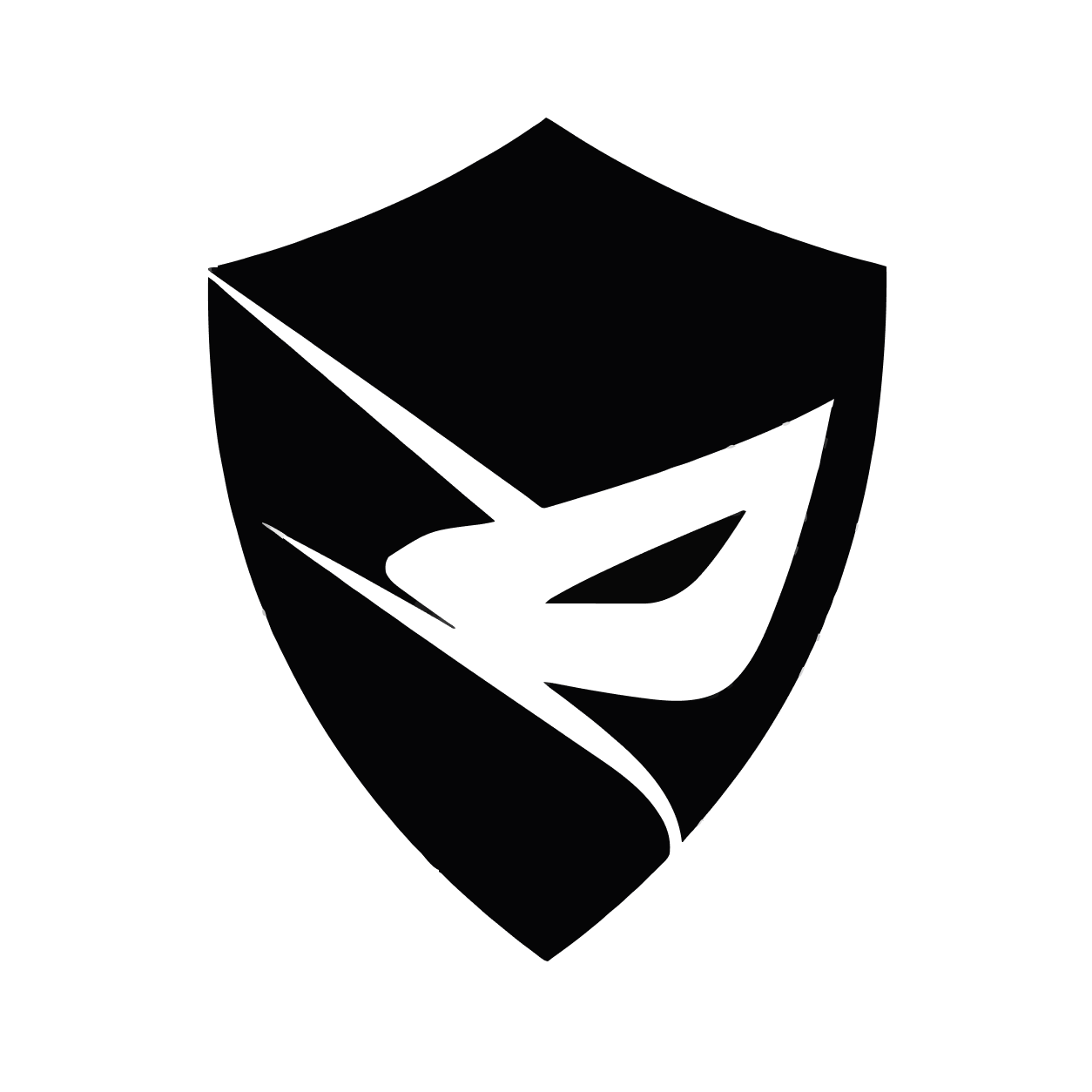 Логотип разработчика Nightvex