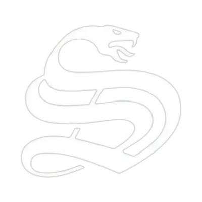 Logo des Entwicklers Splatvik