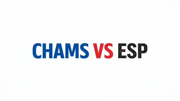 Chams or ESP: Which Is Better in Escape From Tarkov